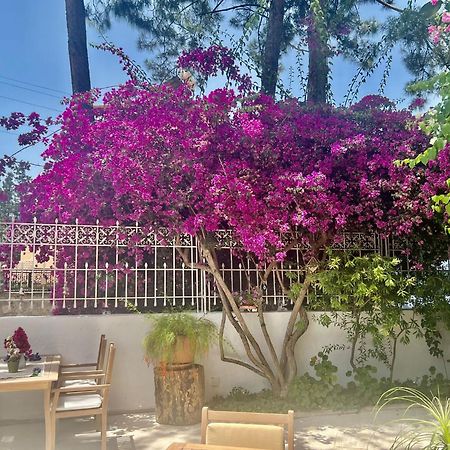 Carikci Hotel Μαρμαρίς Εξωτερικό φωτογραφία