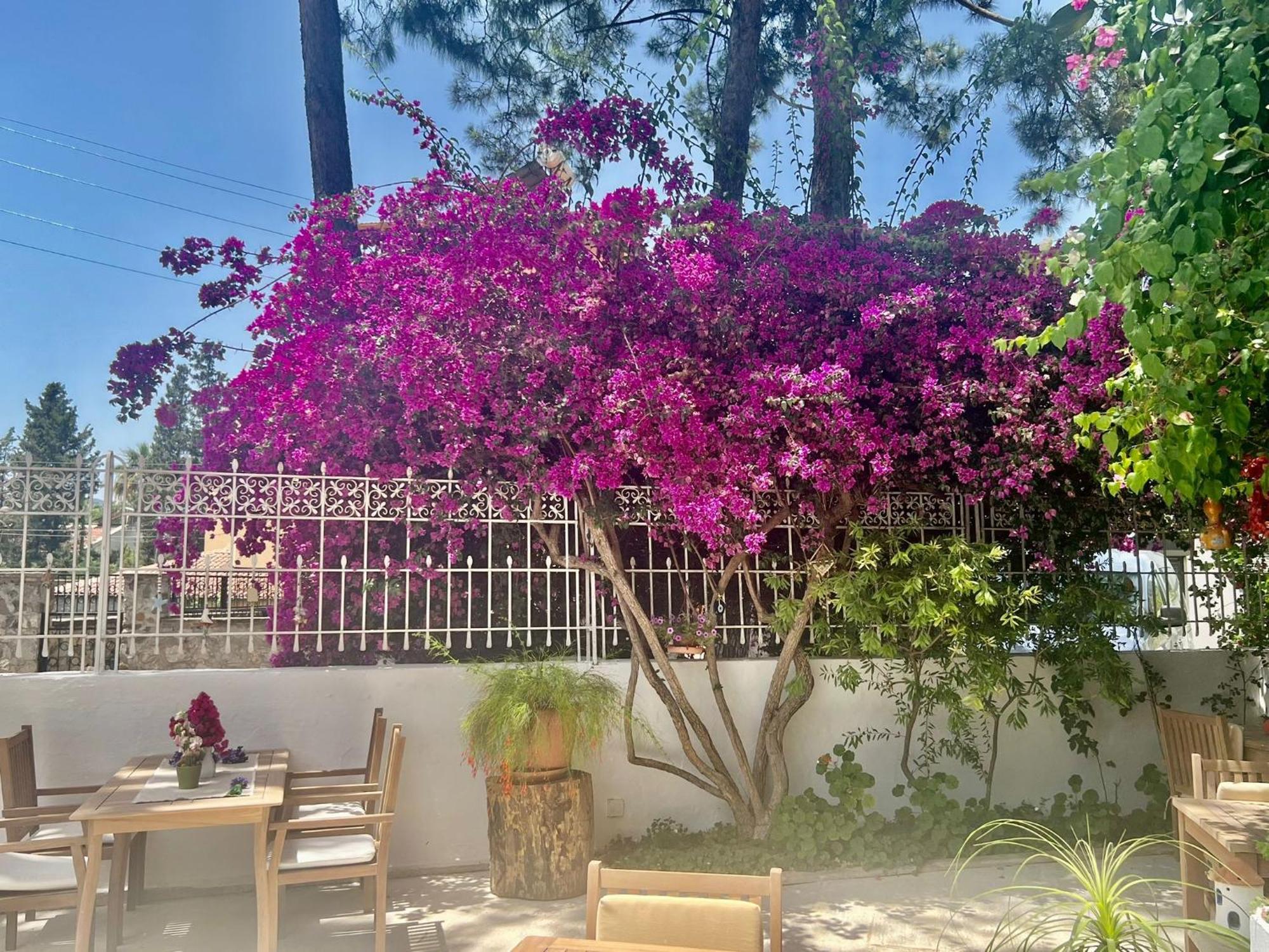 Carikci Hotel Μαρμαρίς Εξωτερικό φωτογραφία